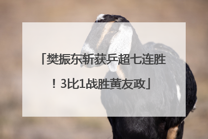 樊振东斩获乒超七连胜！3比1战胜黄友政