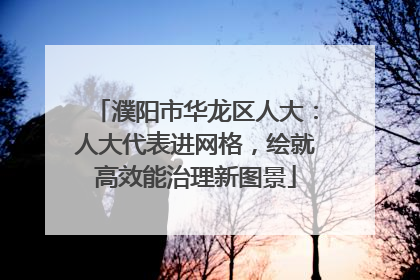 濮阳市华龙区人大：人大代表进网格，绘就高效能治理新图景