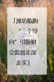 潍坊临朐：“三个导向”引领财会监督走深走实