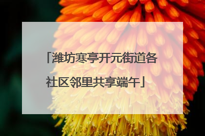 潍坊寒亭开元街道各社区邻里共享端午