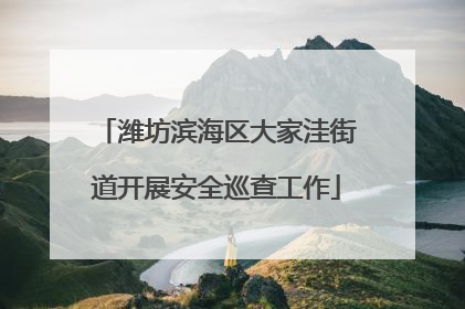 潍坊滨海区大家洼街道开展安全巡查工作
