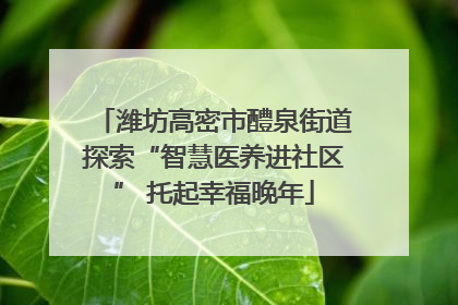 潍坊高密市醴泉街道探索“智慧医养进社区” 托起幸福晚年