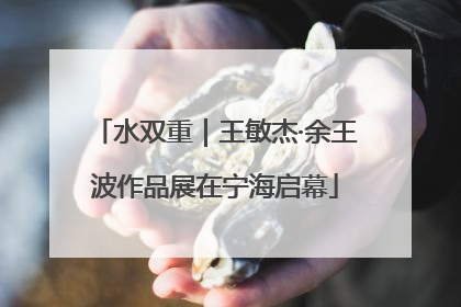 水双重｜王敏杰·余王波作品展在宁海启幕
