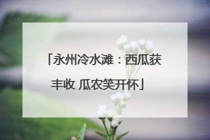 永州冷水滩：西瓜获丰收 瓜农笑开怀