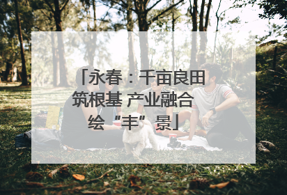 永春：千亩良田筑根基 产业融合绘“丰”景