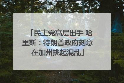 民主党高层出手 哈里斯：特朗普政府刻意在加州挑起混乱