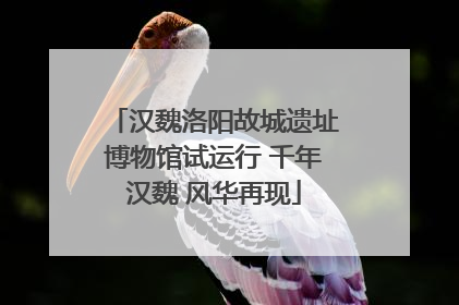 汉魏洛阳故城遗址博物馆试运行 千年汉魏 风华再现