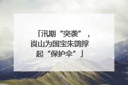 汛期“突袭”，崀山为国宝朱鹮撑起“保护伞”