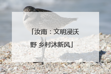 汝南：文明浸沃野 乡村沐新风