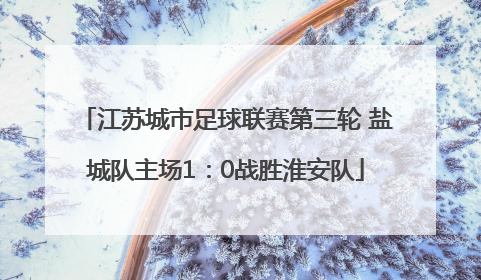 江苏城市足球联赛第三轮 盐城队主场1：0战胜淮安队