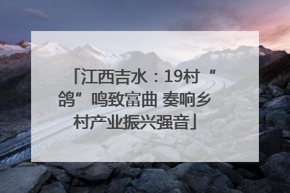 江西吉水：19村“鸽”鸣致富曲 奏响乡村产业振兴强音