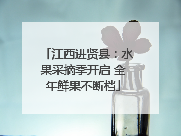 江西进贤县：水果采摘季开启 全年鲜果不断档