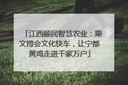 江西颐民智慧农业：乘文博会文化快车，让宁都黄鸡走进千家万户