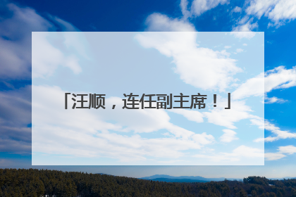 汪顺，连任副主席！