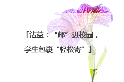 沾益：“邮”进校园，学生包裹“轻松寄”