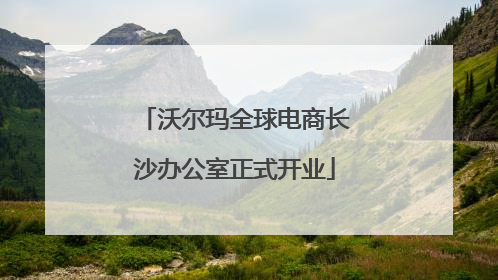 沃尔玛全球电商长沙办公室正式开业