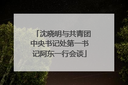 沈晓明与共青团中央书记处第一书记阿东一行会谈
