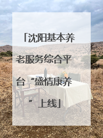 沈阳基本养老服务综合平台“盛情康养”上线