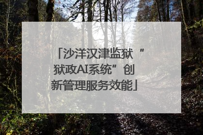 沙洋汉津监狱“狱政AI系统”创新管理服务效能