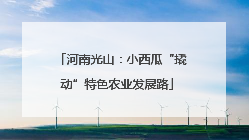 河南光山：小西瓜“撬动”特色农业发展路