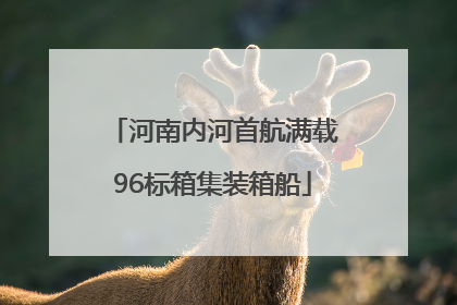 河南内河首航满载96标箱集装箱船