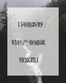 河南新野：特色产业铺就致富路