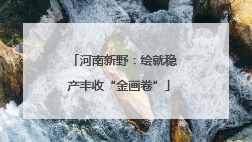 河南新野：绘就稳产丰收“金画卷”