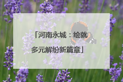 河南永城：绘就多元解纷新篇章