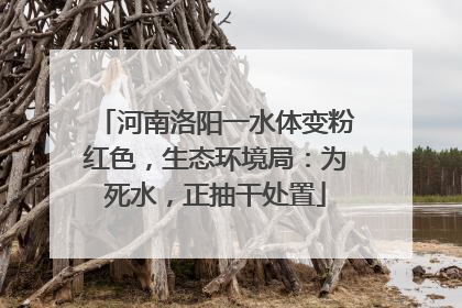 河南洛阳一水体变粉红色，生态环境局：为死水，正抽干处置