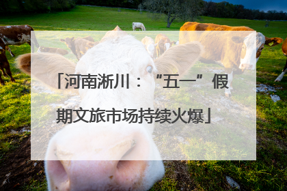 河南淅川：“五一”假期文旅市场持续火爆