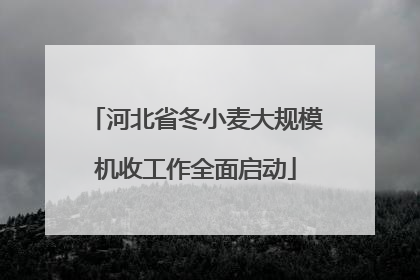 河北省冬小麦大规模机收工作全面启动