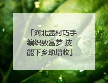 河北孟村巧手编织致富梦 技能下乡助增收