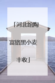 河北馆陶富铬黑小麦丰收
