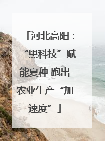 河北高阳：“黑科技”赋能夏种 跑出农业生产“加速度”
