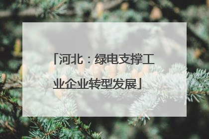 河北：绿电支撑工业企业转型发展