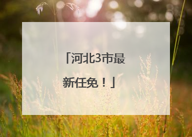 河北3市最新任免！