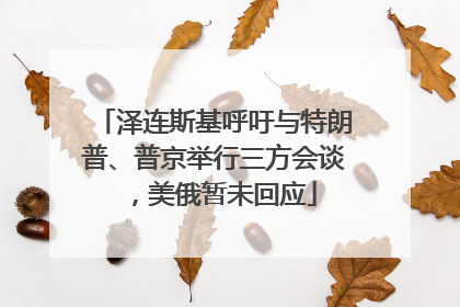 泽连斯基呼吁与特朗普、普京举行三方会谈，美俄暂未回应
