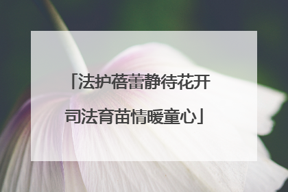法护蓓蕾静待花开 司法育苗情暖童心
