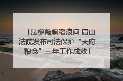 法槌敲响稻浪间 眉山法院发布司法保护“天府粮仓”三年工作成效