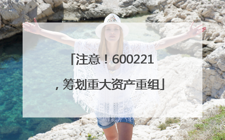 注意！600221，筹划重大资产重组