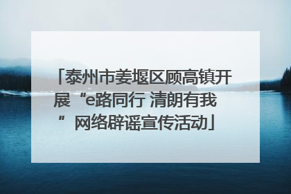 泰州市姜堰区顾高镇开展“e路同行 清朗有我”网络辟谣宣传活动