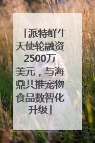 派特鲜生天使轮融资2500万美元，与海鼎共推宠物食品数智化升级
