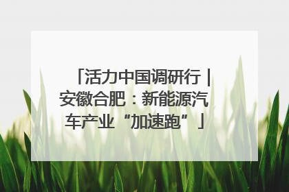 活力中国调研行｜安徽合肥：新能源汽车产业“加速跑”