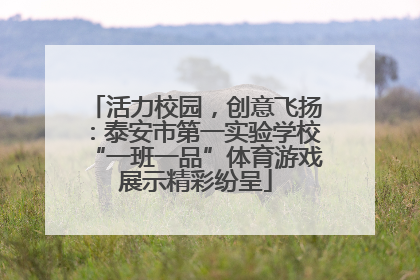 活力校园，创意飞扬：泰安市第一实验学校“一班一品”体育游戏展示精彩纷呈