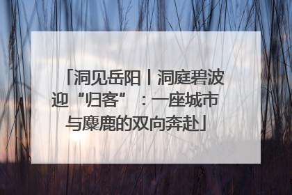 洞见岳阳丨洞庭碧波迎“归客”：一座城市与麋鹿的双向奔赴