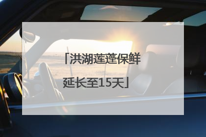 洪湖莲蓬保鲜延长至15天
