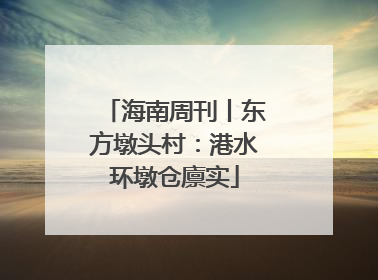 海南周刊丨东方墩头村：港水环墩仓廪实