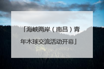 海峡两岸（南昌）青年木球交流活动开幕