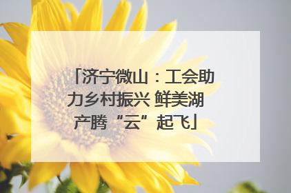 济宁微山：工会助力乡村振兴 鲜美湖产腾“云”起飞