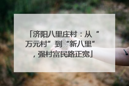 济阳八里庄村：从“万元村”到“新八里”，强村富民路正宽